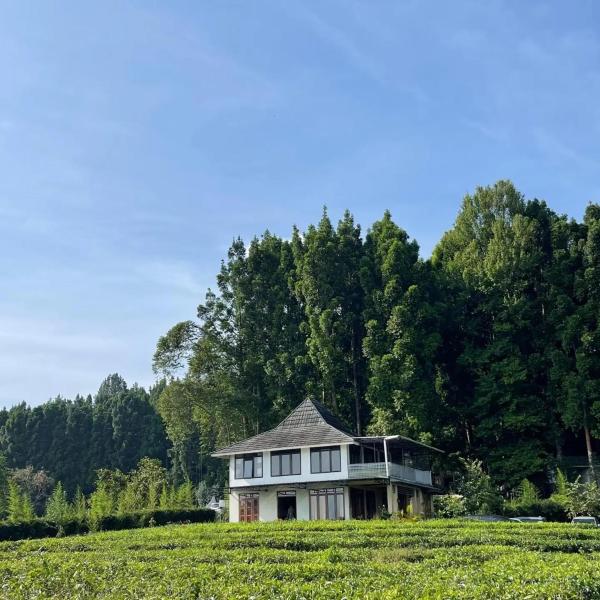 写真にはPlelen市にあるKL villaが写っています。