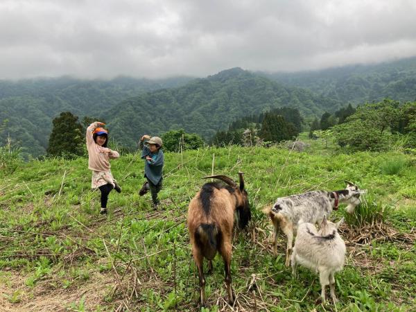 わくわく自然体験の宿ゲストハウス山楽的照片3