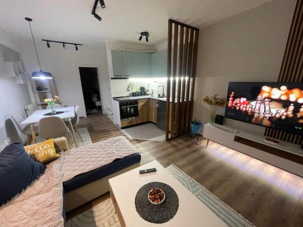 Veskovski-apartment in the center of Skopje, Скопье