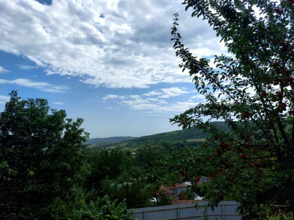 The photo shows the Sulut Guest House located in the city of Şǝrǝdil.