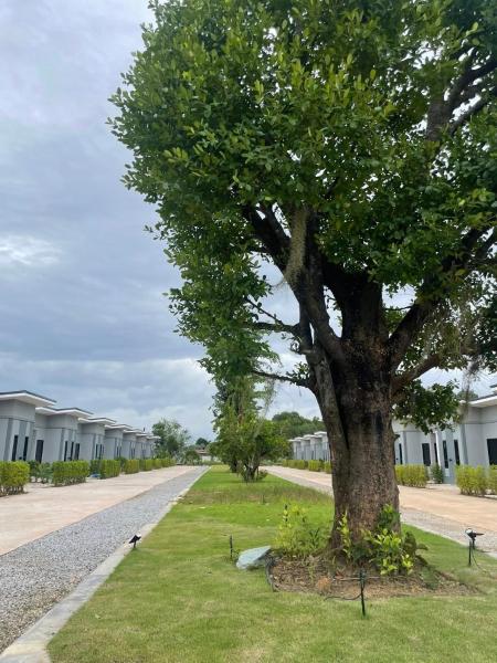 A la foto es mostra l'objecte กลางนา รีสอร์ท situat a la ciutat de Klaeng.