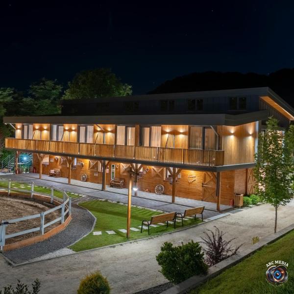 På bilden syns objektet Ecvestria Chalet som ligger i staden Ocnele Mari.