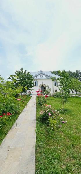 写真にはZaraqan市にあるBig yard white villa AYTが写っています。