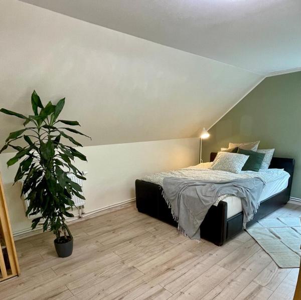 A la foto es mostra l'objecte The Green Oasis Studio situat a la ciutat de Tapa.