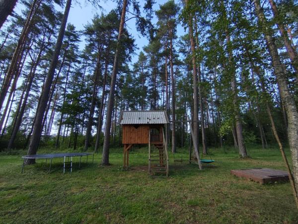 Foto 5: NeriPaulis