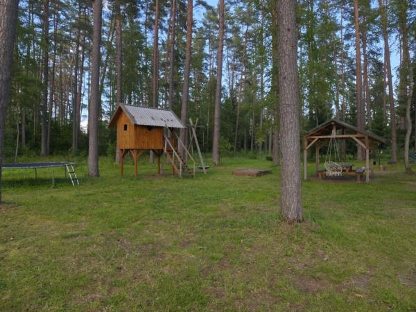Foto 3: NeriPaulis
