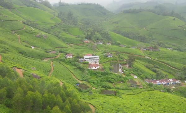 5 Bedroom In Tea Plantation - Munnar