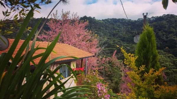 A la foto es mostra l'objecte Sonho na Serra Chalé 1 situat a la ciutat de Gonçalves.