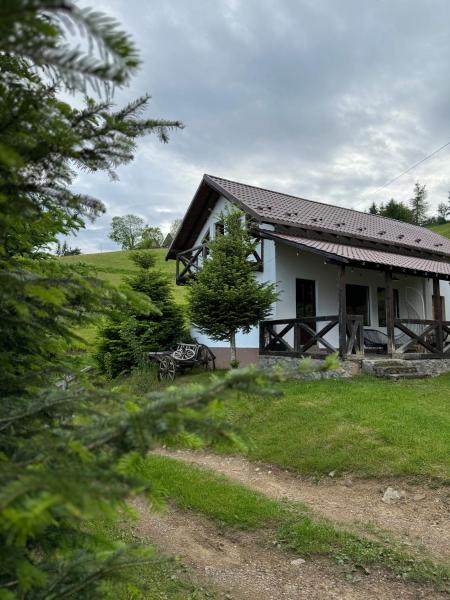 Auf dem Foto ist das Objekt Panoramic House in der Stadt Dealu Mare zu sehen.