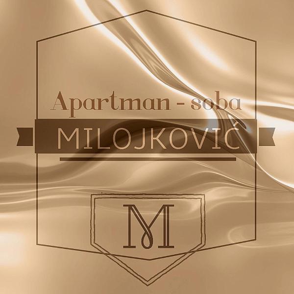 A la foto es mostra l'objecte Apartman studio Milojkovic situat a la ciutat de Golubac.