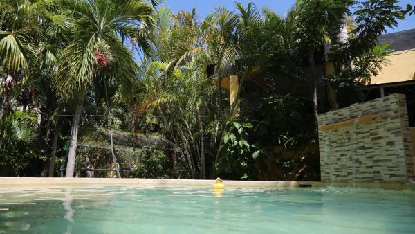 Na zdjęciu widoczny jest obiekt Hostel Oryx Tulum położony w mieście Tulum.