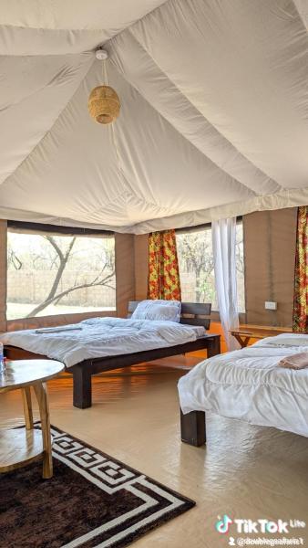 Double G safaris and Camp Mikumi