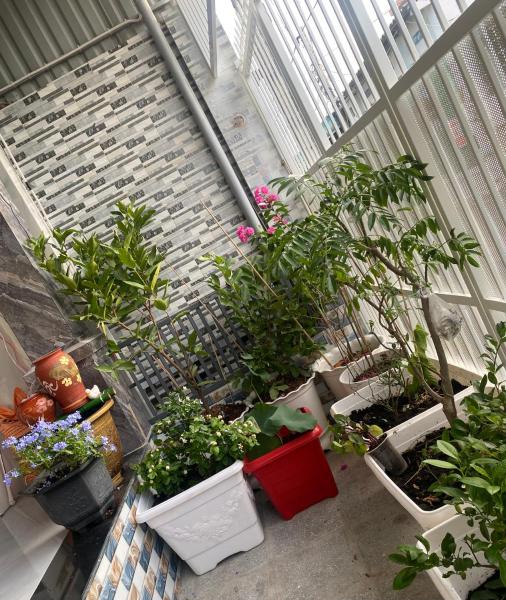 写真にはXã Long Mỹ市にあるHiwinwin Homestay Holidayが写っています。
