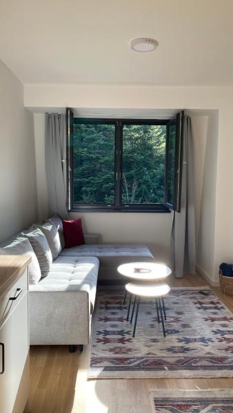 Na fotografii je vidět objekt Mountain Dream nacházející se ve městě Igman.