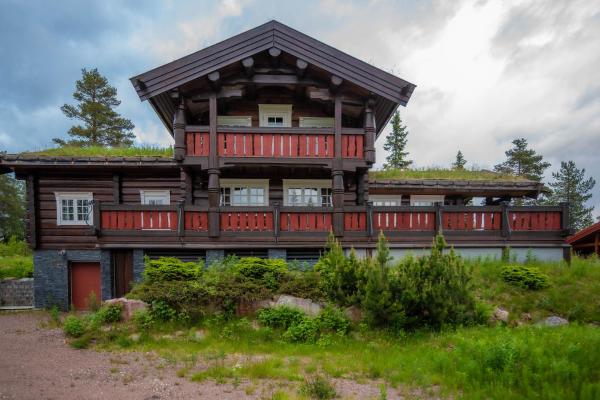 A la foto es mostra l'objecte Trysilfjellet Sør 802 situat a la ciutat de Trysil.