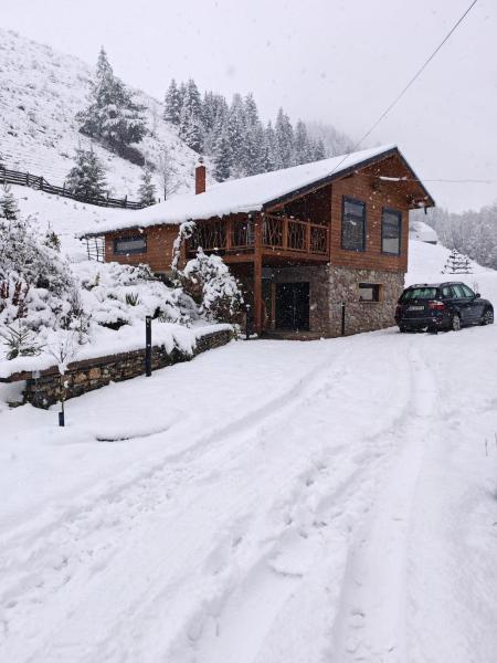 Ryan's Cabin - Bicaz-Chei