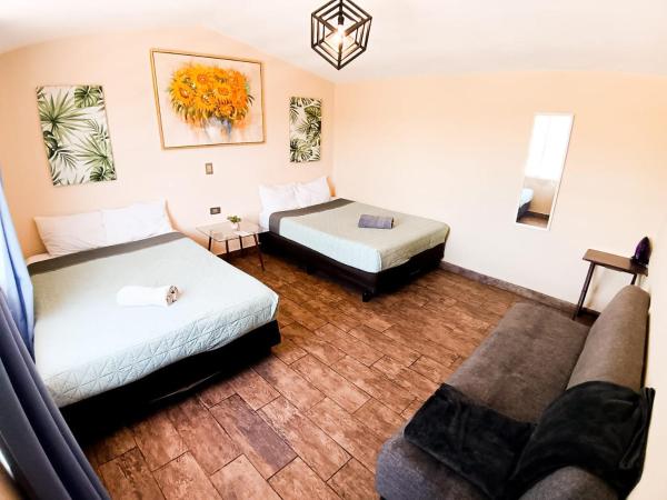 På billedet ses objektet Loft familiar, Paseo Durango beliggende i byen Durango.