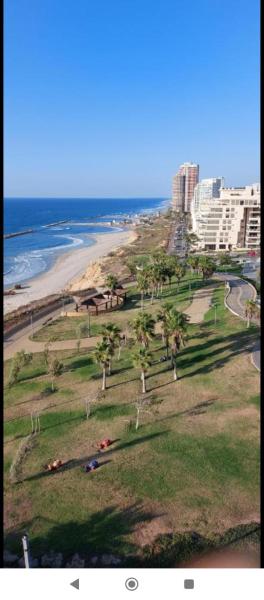 Bild 4: מלון כרמל/מגדל C