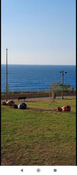 Bild 3: מלון כרמל/מגדל C