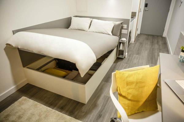 Student Only, Bronze Studio Lower Level Lewisham Residence, London