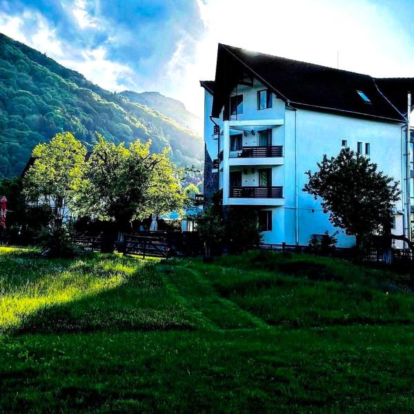 Auf dem Foto ist das Objekt Vila Alisa in der Stadt Bran zu sehen.