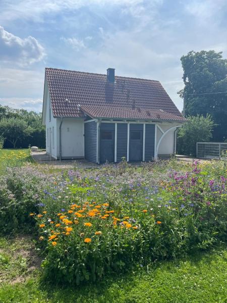 Ferienhaus Muschel - Kalkhorst