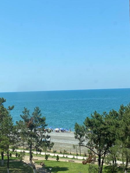 A la foto es mostra l'objecte Guest House situat a la ciutat de Kobuleti.
