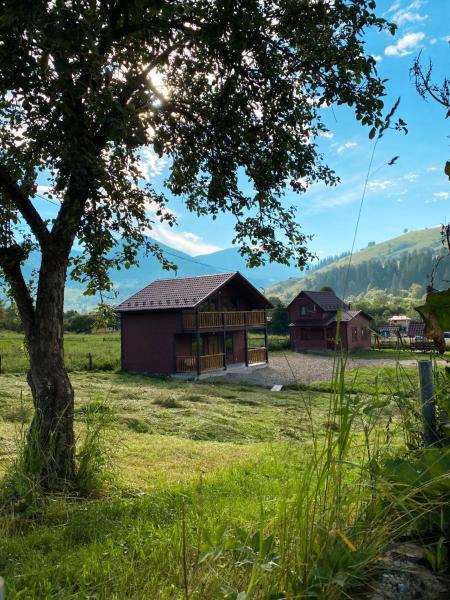 The photo shows the Carpathian House located in the city of Iltsi.