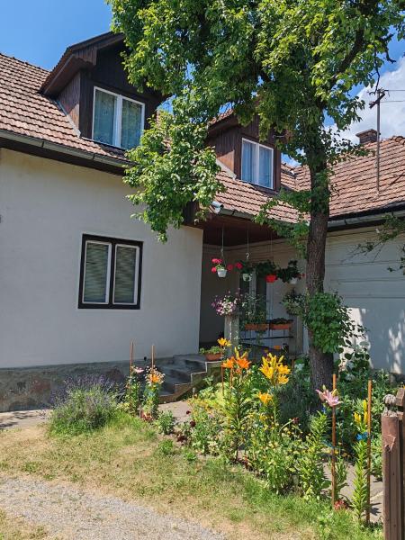 A la foto es mostra l'objecte Naomi vendégház situat a la ciutat de Sovata.