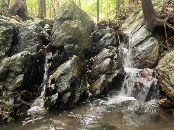 Relaxed Tropical Living - Kuranda