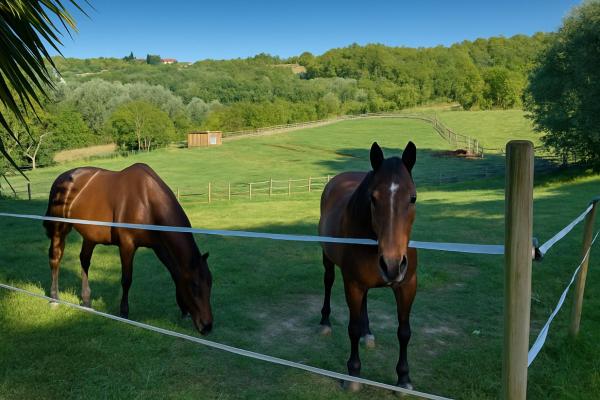 Nella foto è visibile l'oggetto B&B Freedoms Reins Farm situato nella città di Casalborgone.