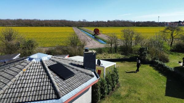 Foto 4: Zeester 086
