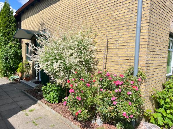 A la foto es mostra l'objecte FeWo Zwischen Nord- und Ostsee situat a la ciutat de Börm.