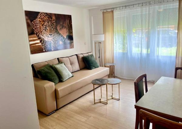 A la foto es mostra l'objecte Sesa Appartment situat a la ciutat de Struga.