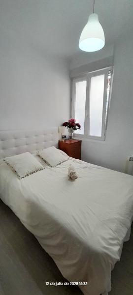 Na fotografii je vidět objekt Centrico Wifi 2 Habitaciones nacházející se ve městě Bilbao.