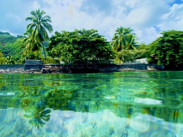 Billede 3: Tiny house with pool near Vaiava beach