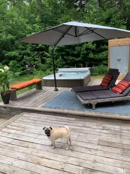 Kuva 4: Tranquility at the edge of the woods- Hot Tub