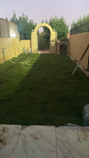 Bilde 8: الإسكندرية