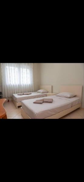 Vaip House, Tirana