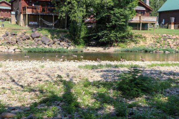 Фотография 4: Wind down in this 2 Bed Oasis with River Access Hot Tub and Outdoor Fun Sleeps 6 Comfortably
