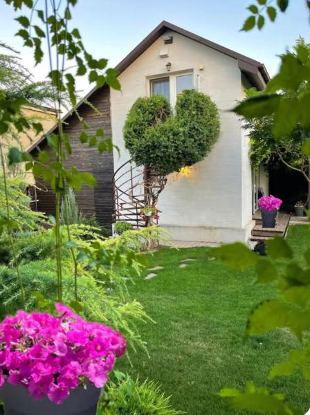 На фото показан объект ДЗЕН Garden, расположенный в городе Чабанка.