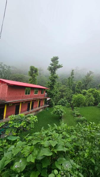 Op de foto is het object Tapovan Cascades Yogvillage Stay te zien, gelegen in de stad Rishikesh.