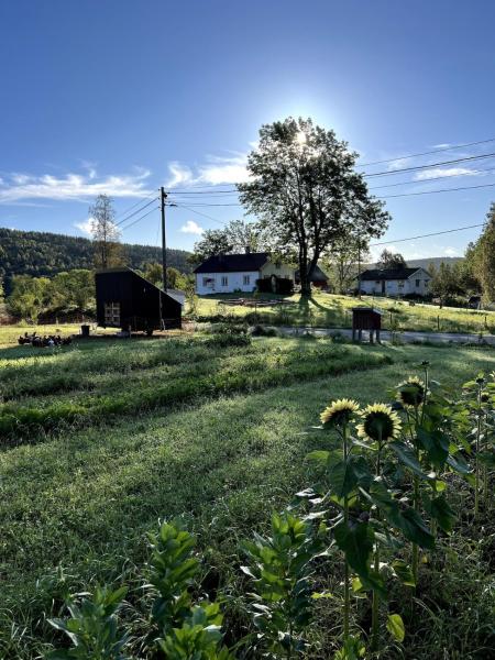 Na fotografii je vidět objekt Farm stay at Løkka farm nacházející se ve městě Nes.