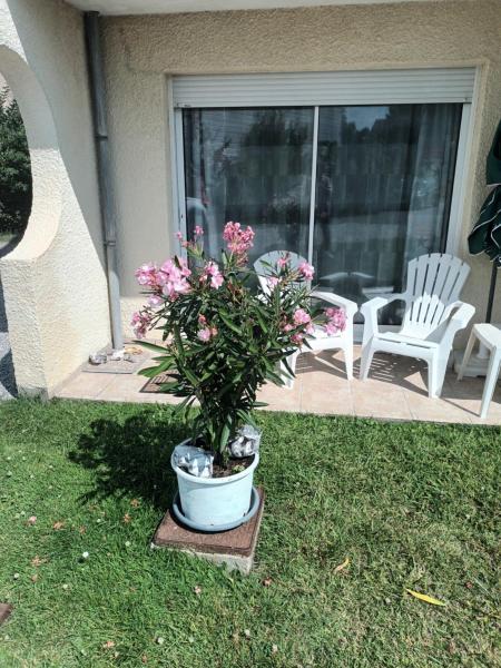 A la foto es mostra l'objecte Les Hortensias situat a la ciutat de Sangatte.