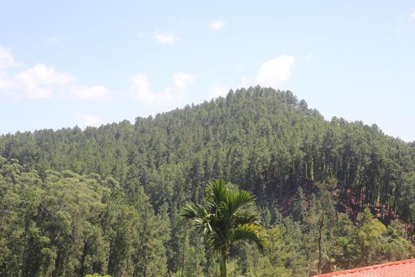 A la foto es mostra l'objecte New Thilini Homestay Ella situat a la ciutat de Ella.