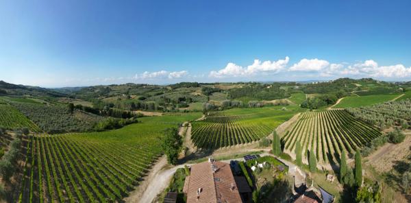 Na zdjęciu widoczny jest obiekt I Vigneti del Chianti położony w mieście Fiano.