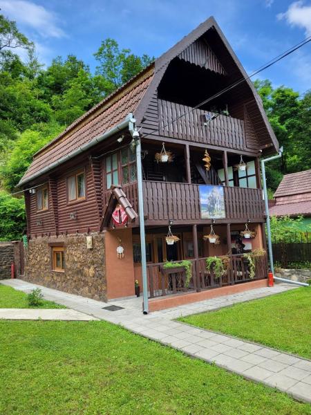 Na fotografii je vidět objekt Cabana Burebista nacházející se ve městě Orăştioara de Sus.