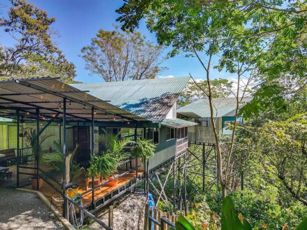 Στη φωτογραφία φαίνεται το αντικείμενο Casa de Cacao, A Treetop Cottage in Cacao Forest! που βρίσκεται στην πόλη Mastatal.