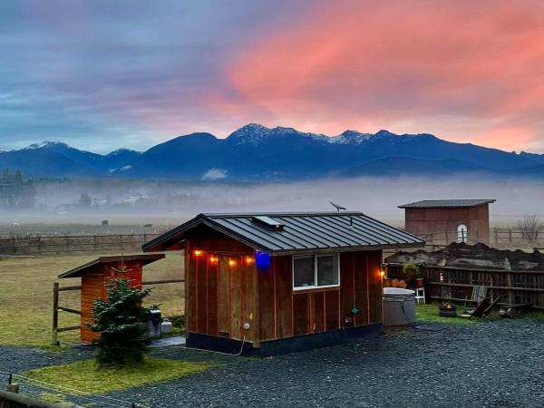 A la foto es mostra l'objecte Blue Moon Tiny House Hot Tub & Sauna situat a la ciutat de King Hill.