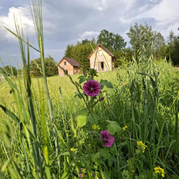A la foto es mostra l'objecte Odpocznij u Ani situat a la ciutat de Kociołki.